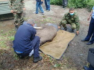 Спасибо, люди!