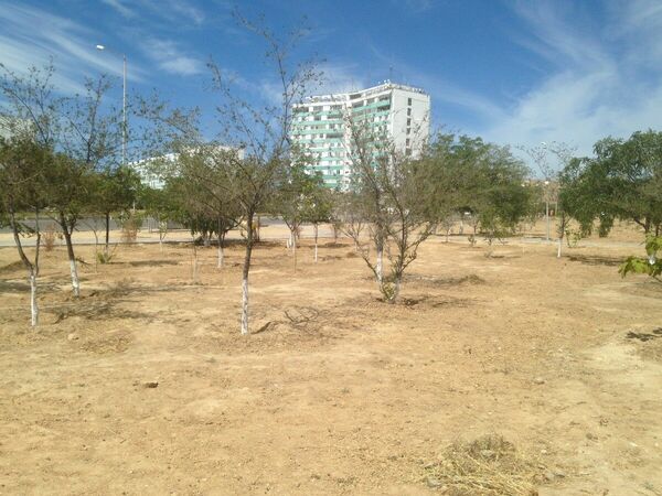 Когда в верхах согласья нет