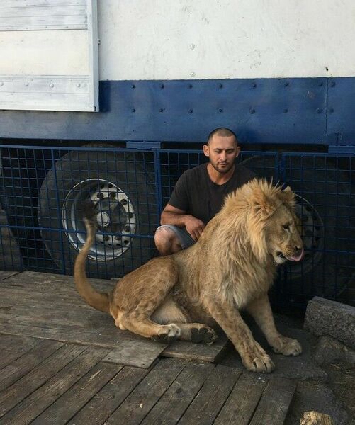 Его зовут Симба