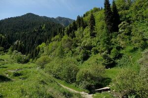 Как экоактивисты обламывают копья