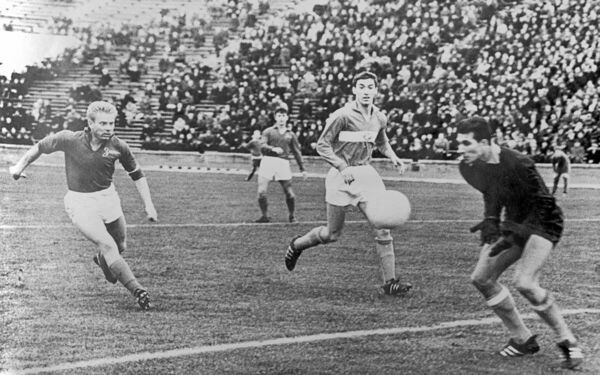 Бесстрашный Лис