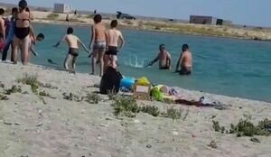 Дураки на море