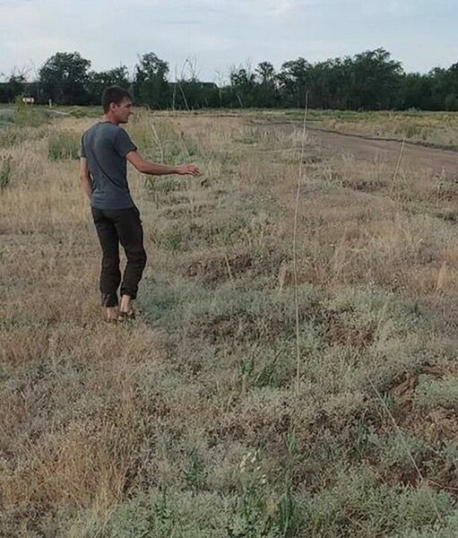 Закупили - засушили