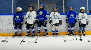 Есть ли будущее у “Барыса”?