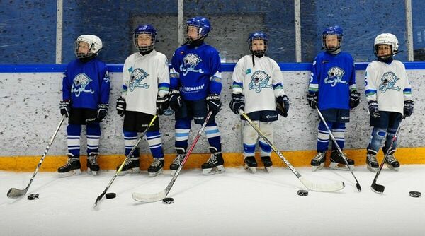 Есть ли будущее у “Барыса”?