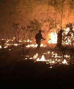 Степи  снова в огне