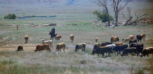 Выстрелами в голову