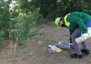 Лето с метлой