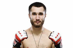 Звёзды октагона