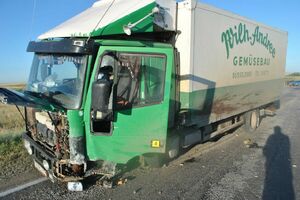 Они всегда гонят