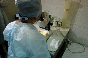 Своя вакцина  ближе к антителу