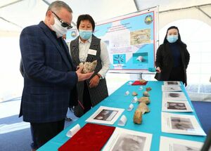 Улитки зовут!