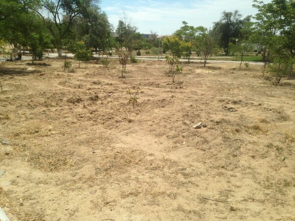 Шаг вперёд  и два назад