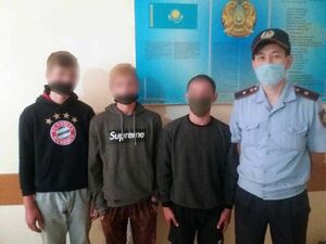 А дома лучше…