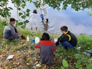 Феномен кристальной чистоты