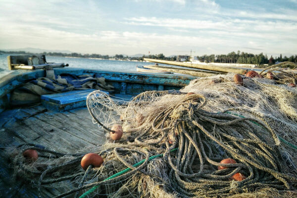 Браконьеры вышли на тропу войны