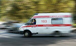 Живая находка