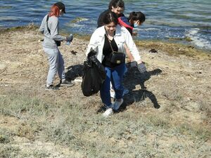 Кликун и хохотун ждут помощи