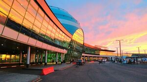 Убиться - не судиться