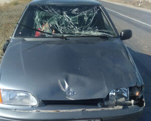 Идёт беда рогатая