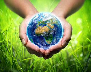 Вместо тысячи слов