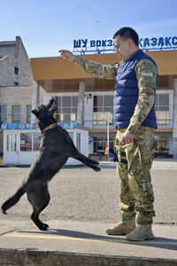 Двое ранены, один убит