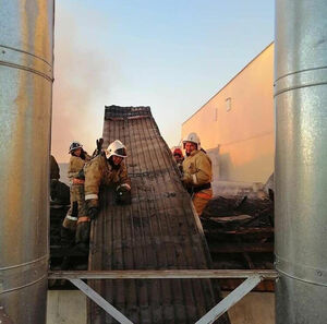 Укрощение красного петуха