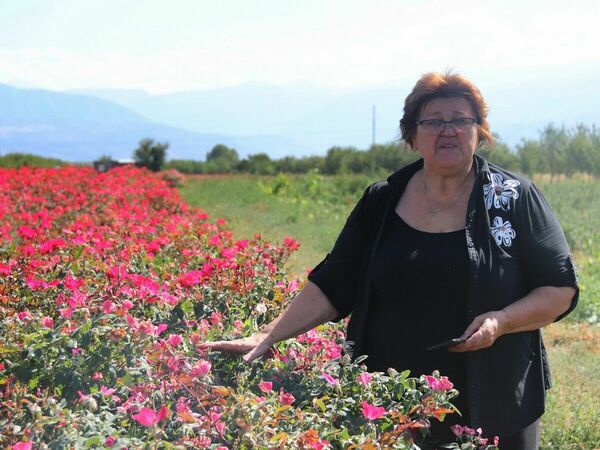 Королева роз