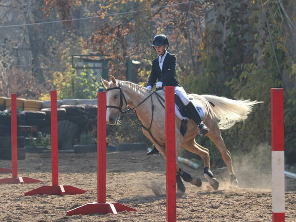 Вдвоём с конём