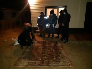 Мужики  с рогами