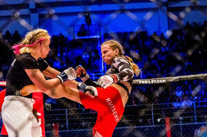 Держись и бей!