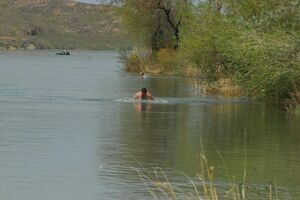 С водой покончить нам бы счёты…