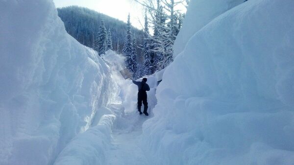 Что нам снег, что нам зной!..