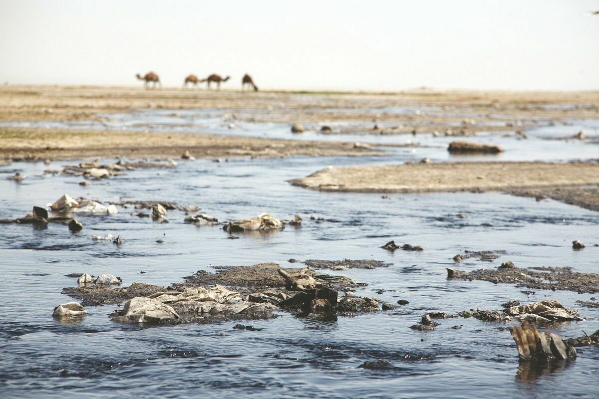 Золотое дно