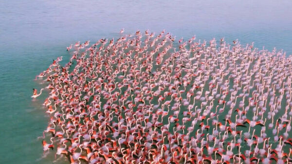 И кто вам разрешал?