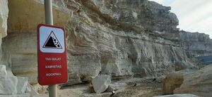 Прекрасная, но опасная