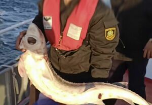 Солидный улов