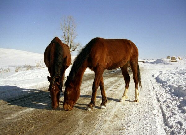 Воровать стали меньше