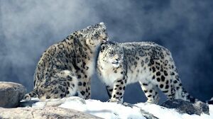 Владыка горных вершин