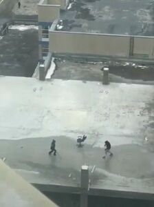 Опасные забавы