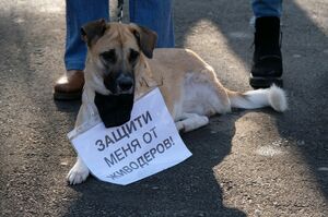 Заблудились  в двух словах