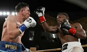 Это вам не грушу поколачивать