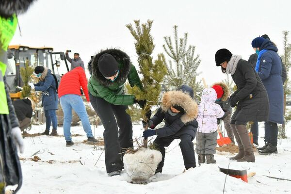 А вместо свалки  будет лес!