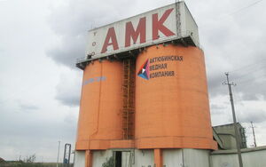 Крыса оставила чёрную метку...