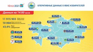 На 14 часов проголосовало более 40 процентов избирателей, - ЦИК