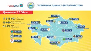 Явка на выборах, по предварительным данным, составила 63,3 процента, - ЦИК