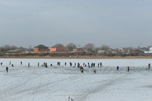 Ловись, рыбка, подальше от дома