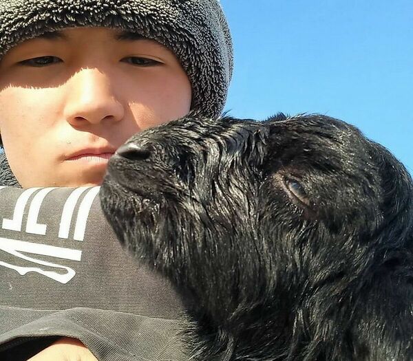 Овца, смотри в камеру!