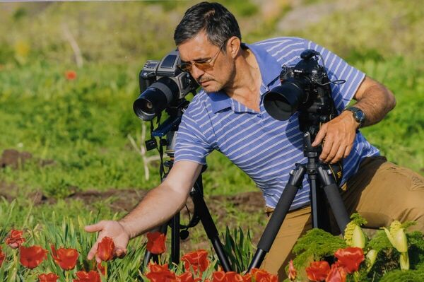 И только небо тебя поманит синим взмахом её крыла