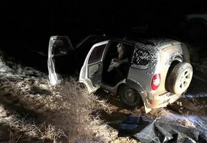 Охотники с большой дороги